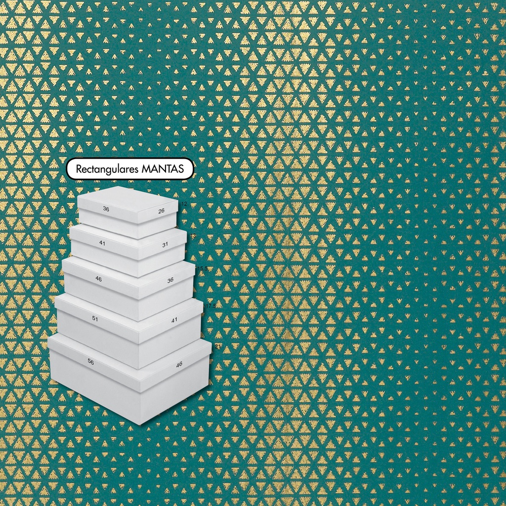 SET 5 CAJAS MEDIANAS C-2410