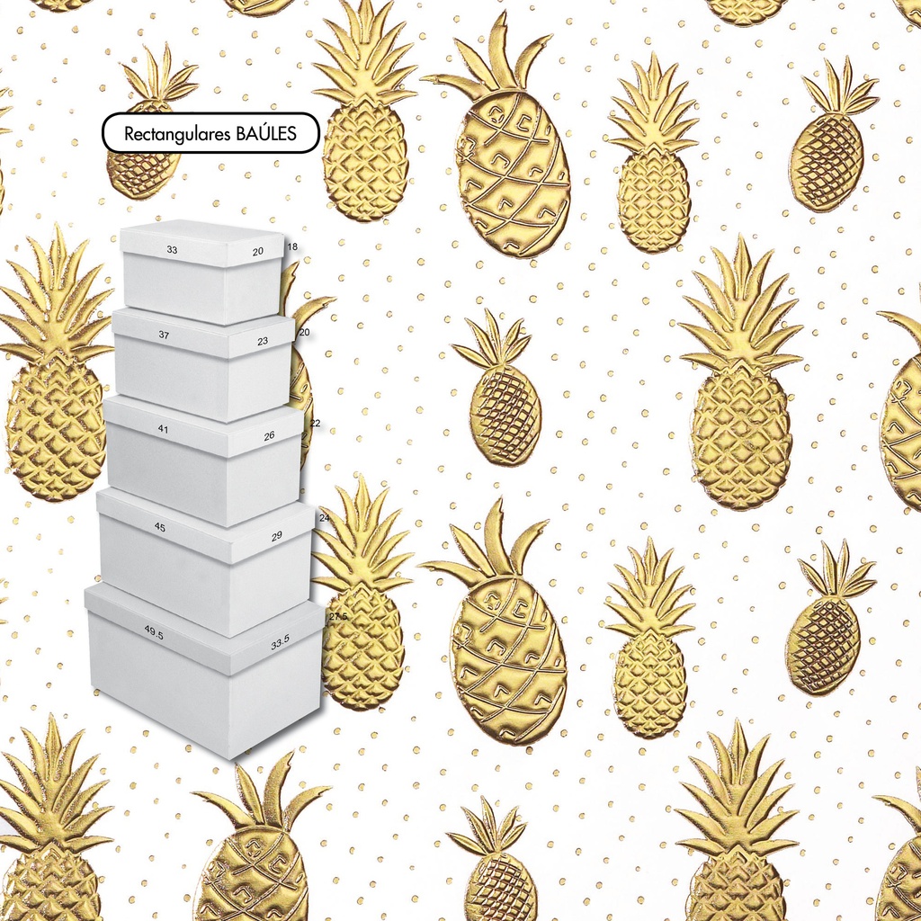 SET 5 CAJAS MINI C-2350