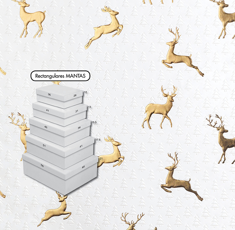 SET 5 CAJAS RECTANGULARES MINI NAVIDAD C-2250