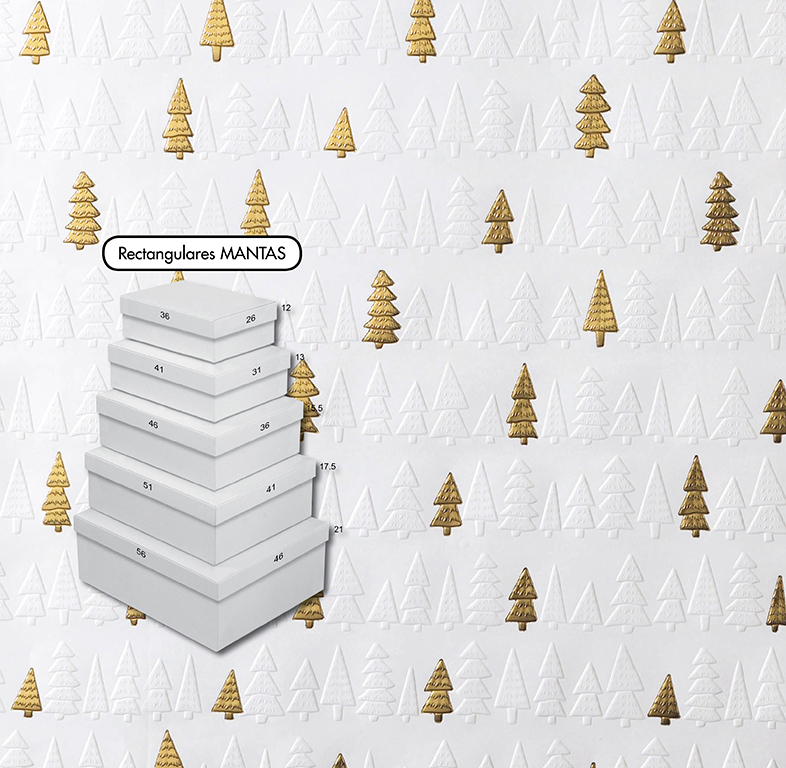 SET 5 CAJAS RECTANGULARES MINI NAVIDAD C-7142