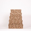 SET 5 CAJAS RECTANGULARES MEDIANAS NAVIDAD C-3413