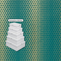 [915411] SET 5 CAJAS MEDIANAS C-2410